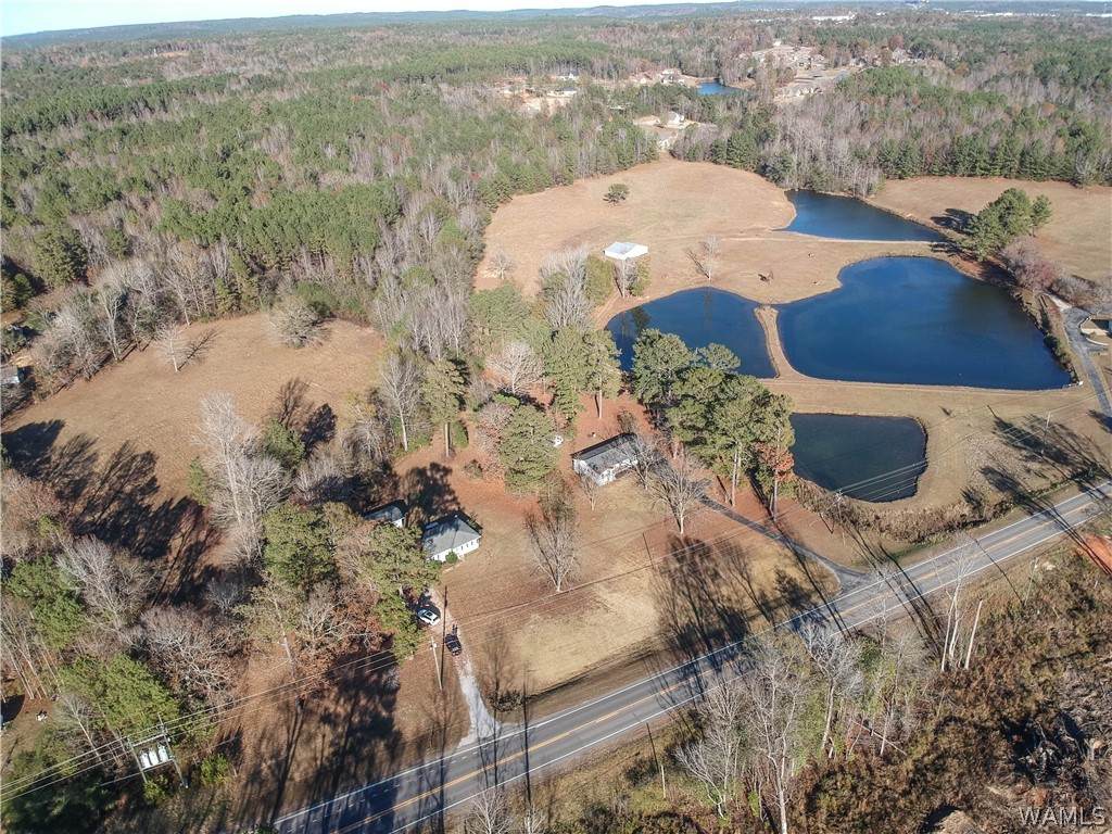 16414 Highway 11 - Photo 1