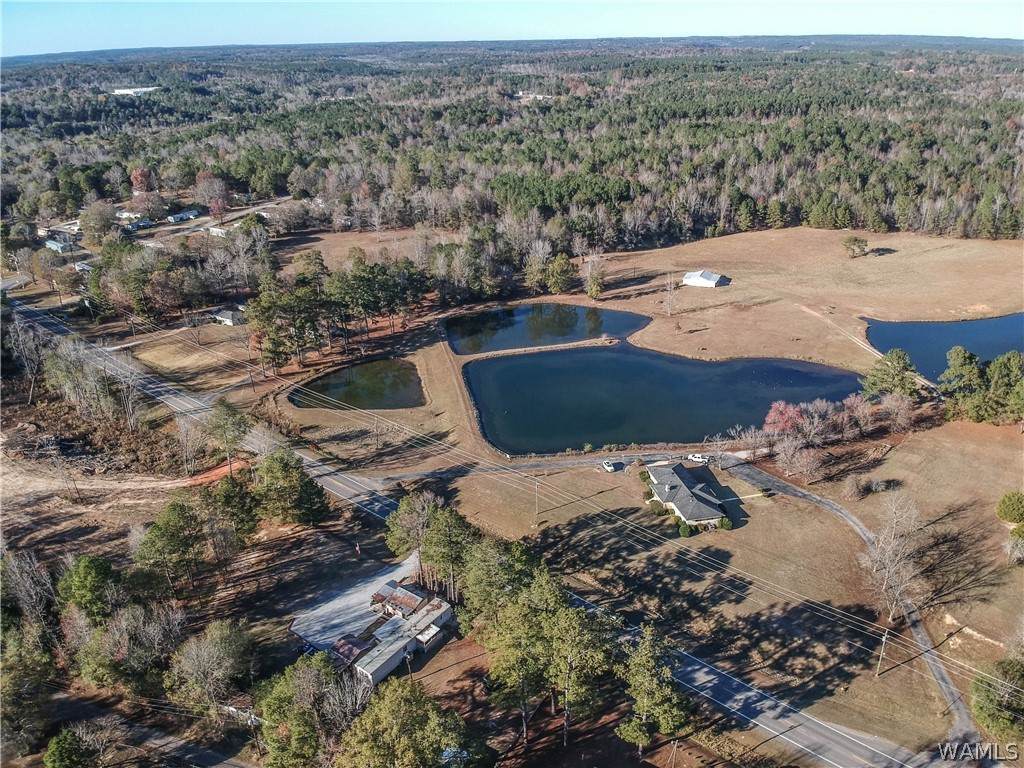 https://bt-photos.global.ssl.fastly.net/tuscaloosa/orig_boomver_1_176812-2.jpg