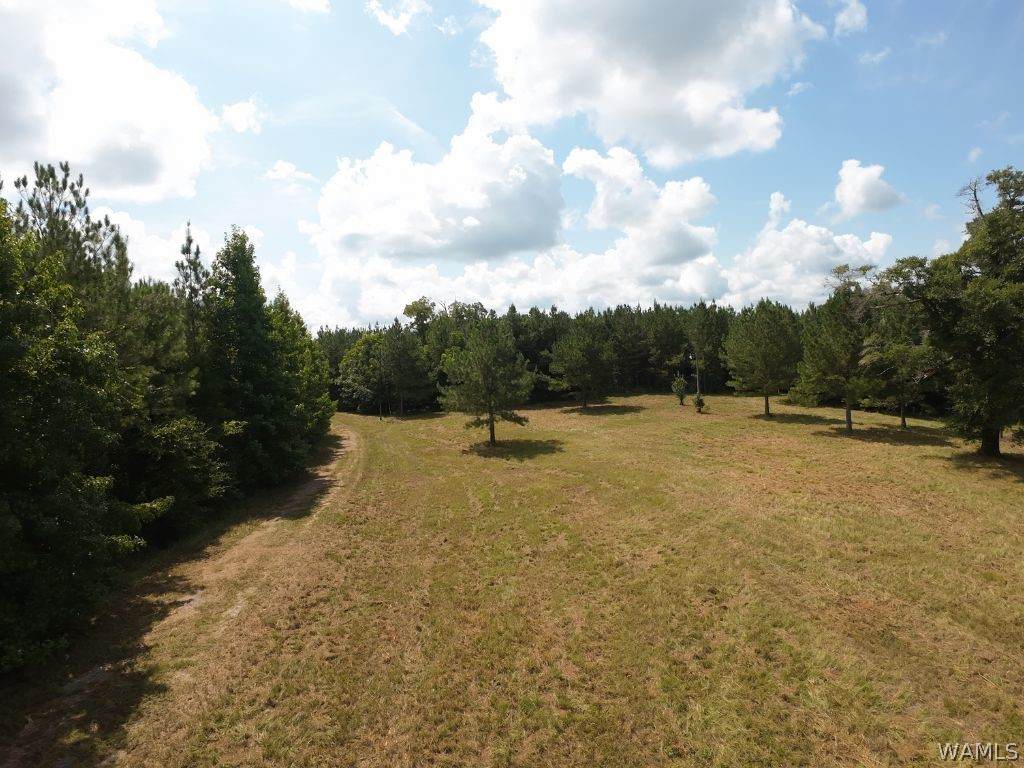https://bt-photos.global.ssl.fastly.net/tuscaloosa/orig_boomver_1_176821-2.jpg