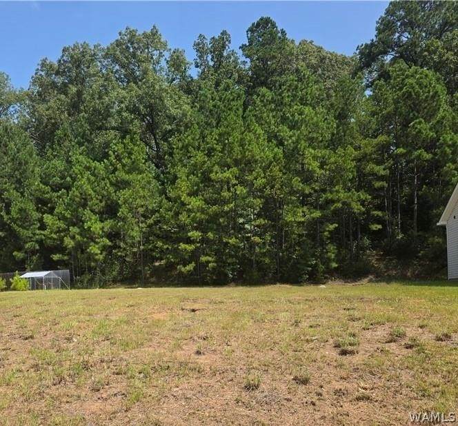 18448 Thoroughbred Drive - Photo 1