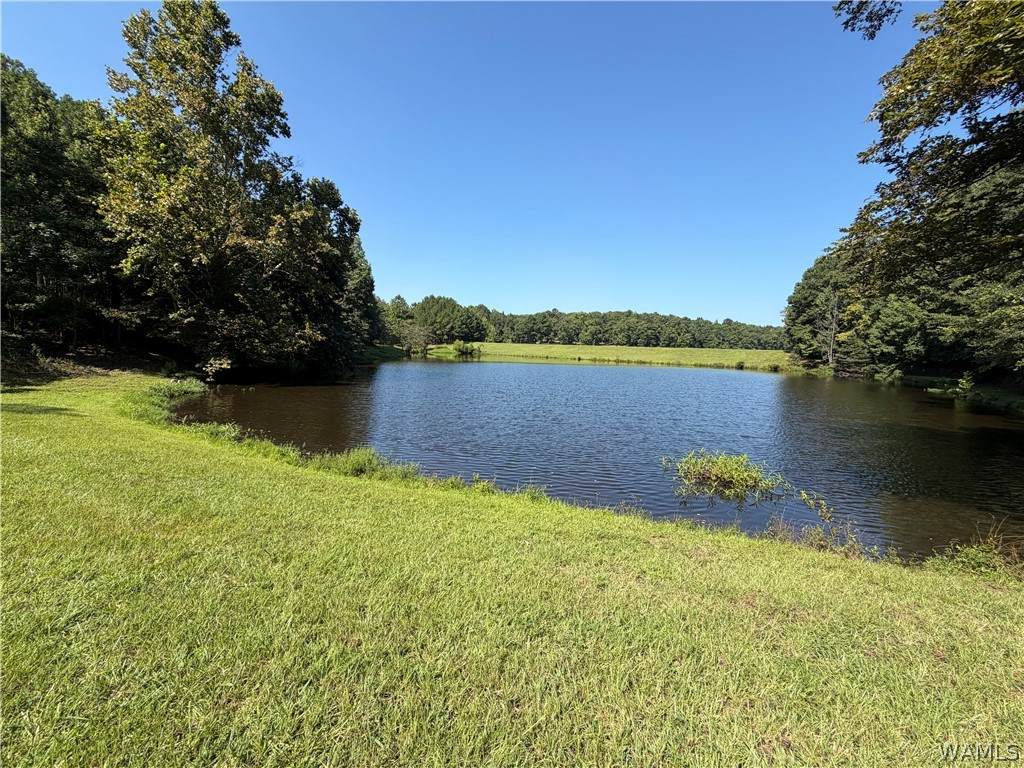 308 Carriage Ln - Photo 1