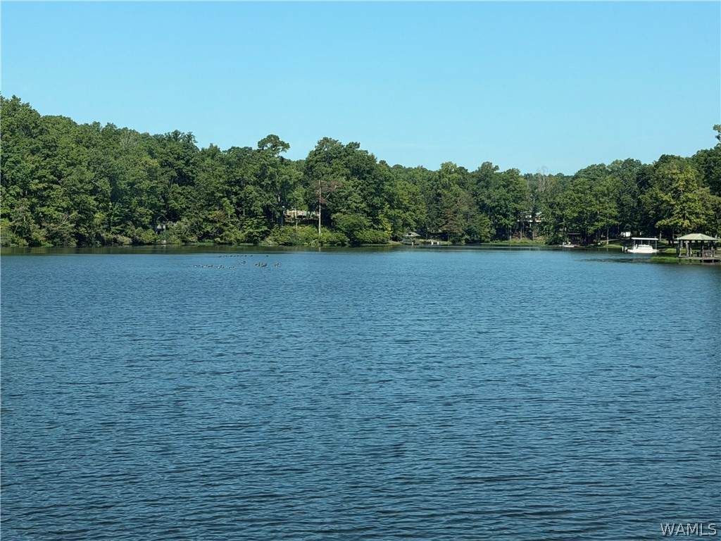 https://bt-photos.global.ssl.fastly.net/tuscaloosa/orig_boomver_1_176935-2.jpg