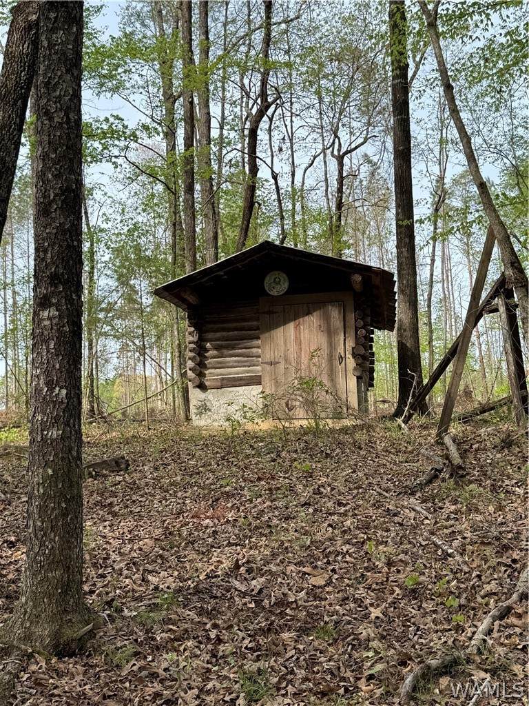 0 Samson Clements Loop Rd - Photo 1