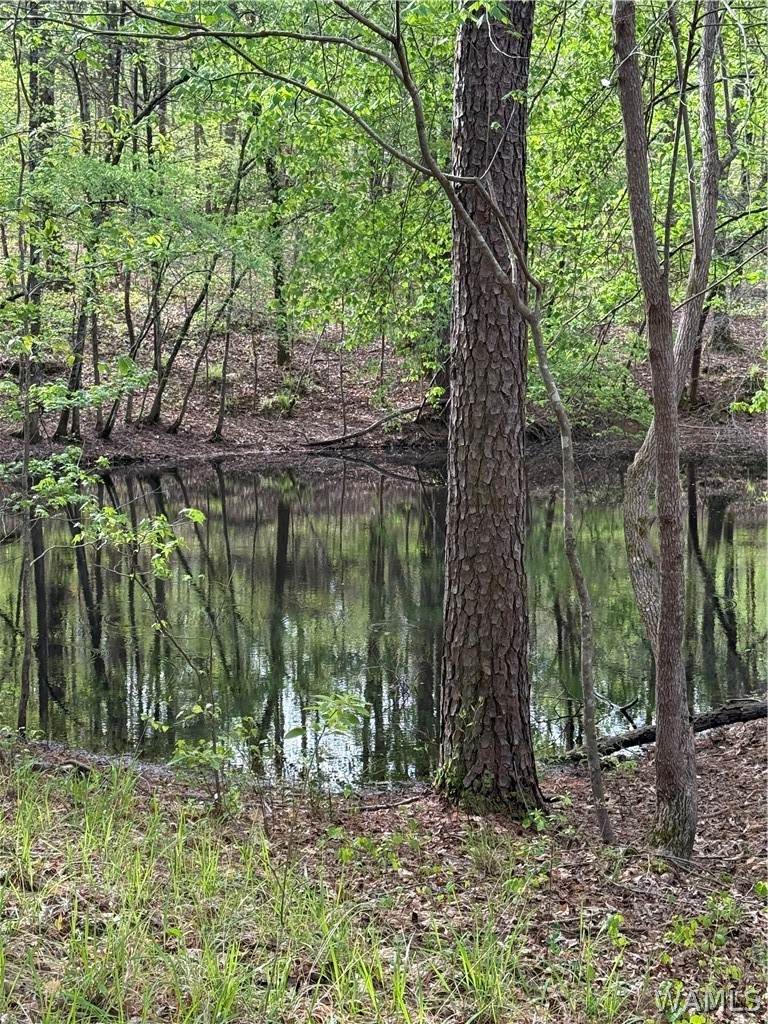 https://bt-photos.global.ssl.fastly.net/tuscaloosa/orig_boomver_1_176943-2.jpg