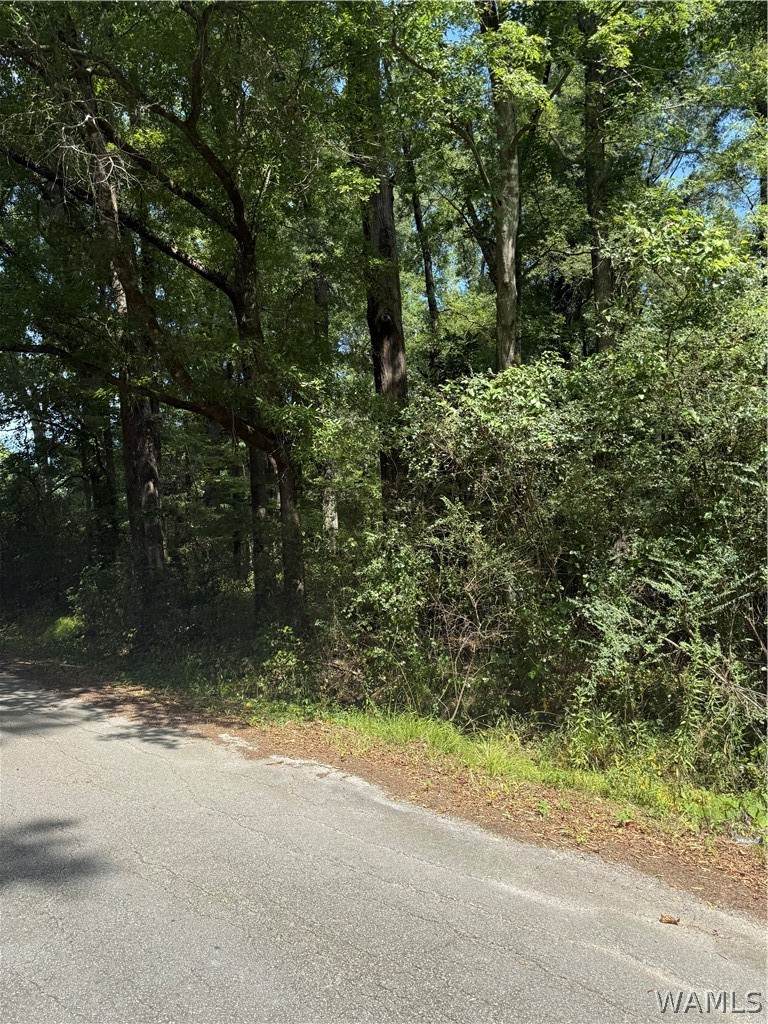 0 5th Avenue - Photo 1