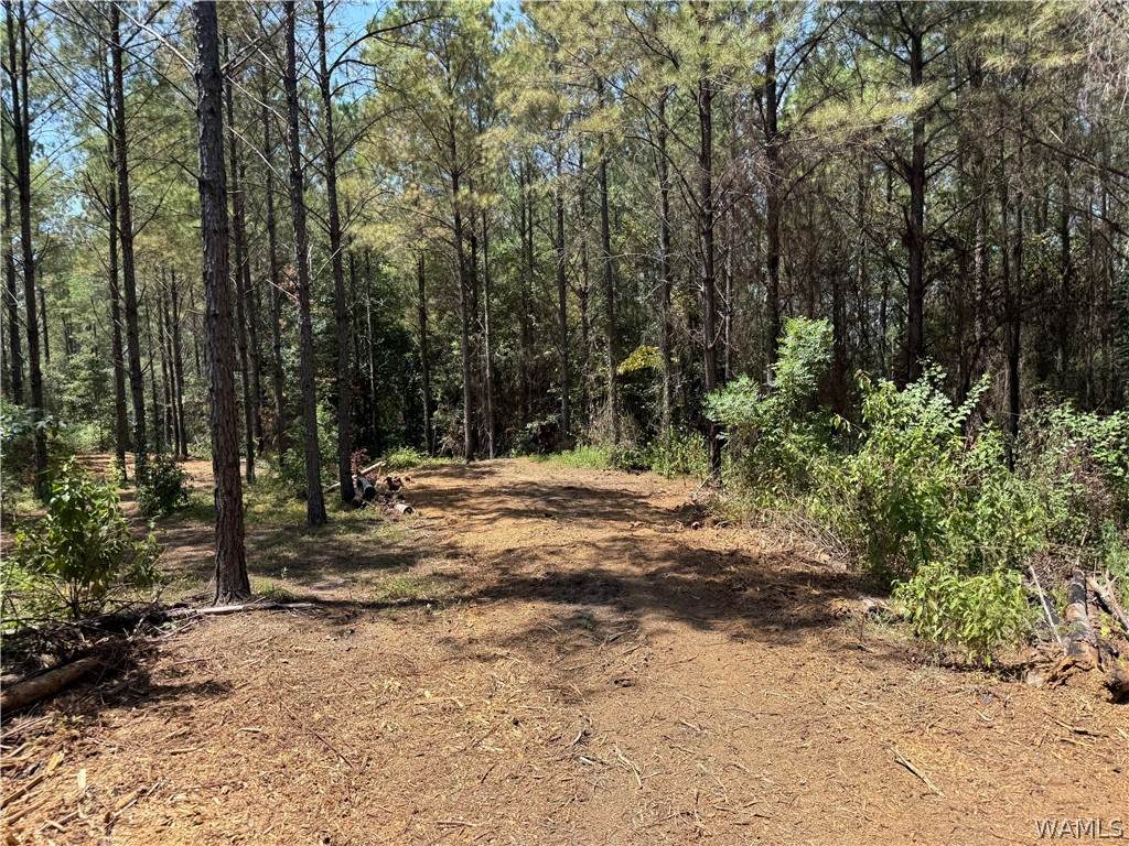 00 County Road 100 - Photo 1