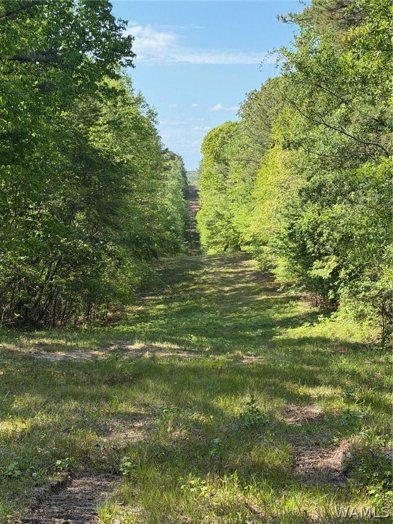 https://bt-photos.global.ssl.fastly.net/tuscaloosa/orig_boomver_1_176962-2.jpg