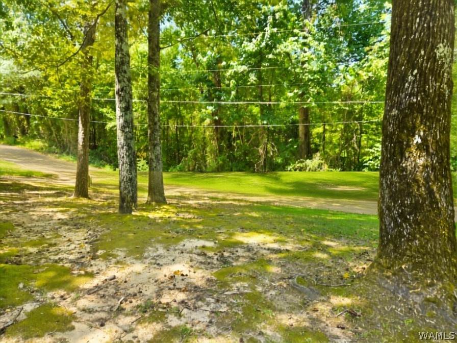 https://bt-photos.global.ssl.fastly.net/tuscaloosa/orig_boomver_1_176972-2.jpg