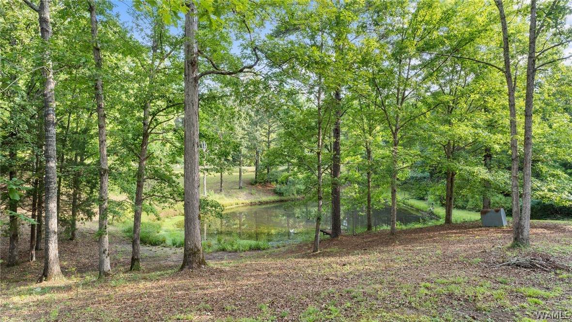https://bt-photos.global.ssl.fastly.net/tuscaloosa/orig_boomver_1_177112-2.jpg
