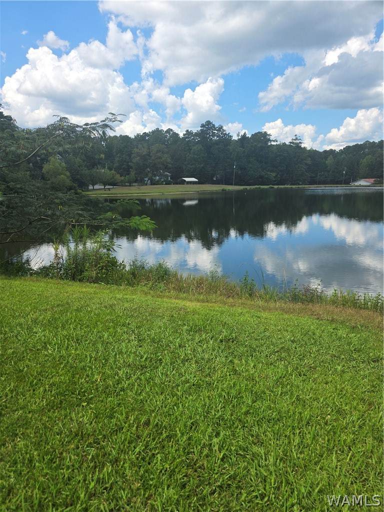 00 Delmar Drive - Photo 1