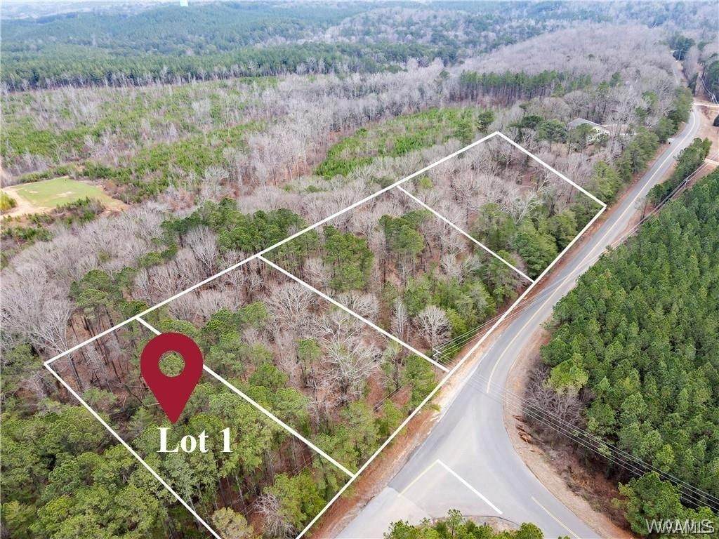 Lot 1 Sexton Bend Road - Photo 1