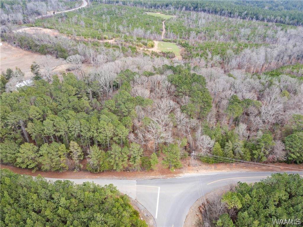 https://bt-photos.global.ssl.fastly.net/tuscaloosa/orig_boomver_1_177186-2.jpg