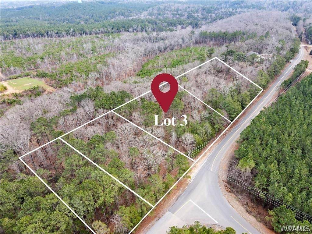 Lot 3 Sexton Bend Road - Photo 1