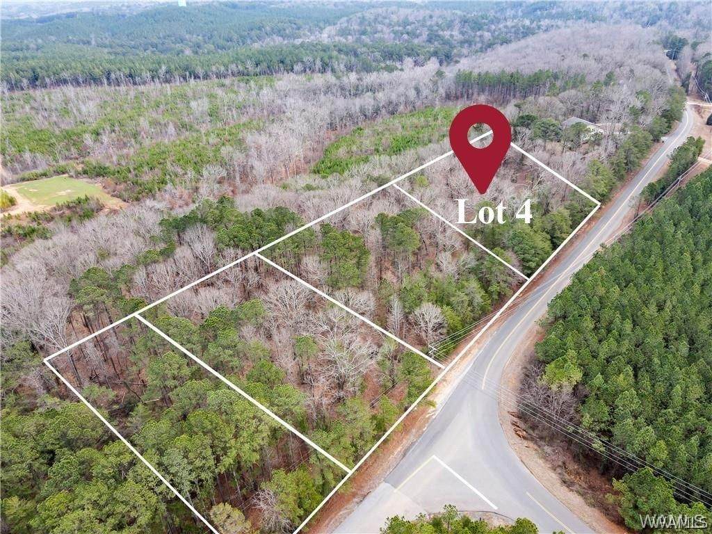 Lot 4 Sexton Bend Road - Photo 1