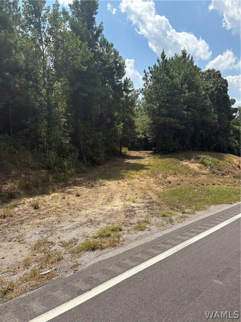 0 Hwy 159 - Photo 1