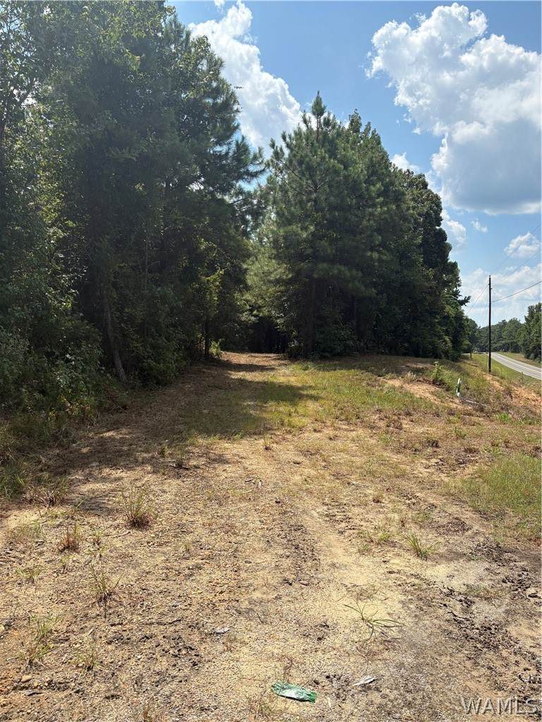 https://bt-photos.global.ssl.fastly.net/tuscaloosa/orig_boomver_1_177195-2.jpg