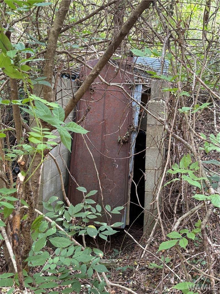 https://bt-photos.global.ssl.fastly.net/tuscaloosa/orig_boomver_1_177195-2.jpg