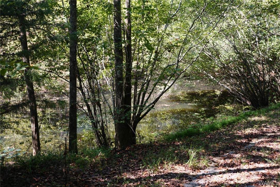 https://bt-photos.global.ssl.fastly.net/tuscaloosa/orig_boomver_1_177223-2.jpg