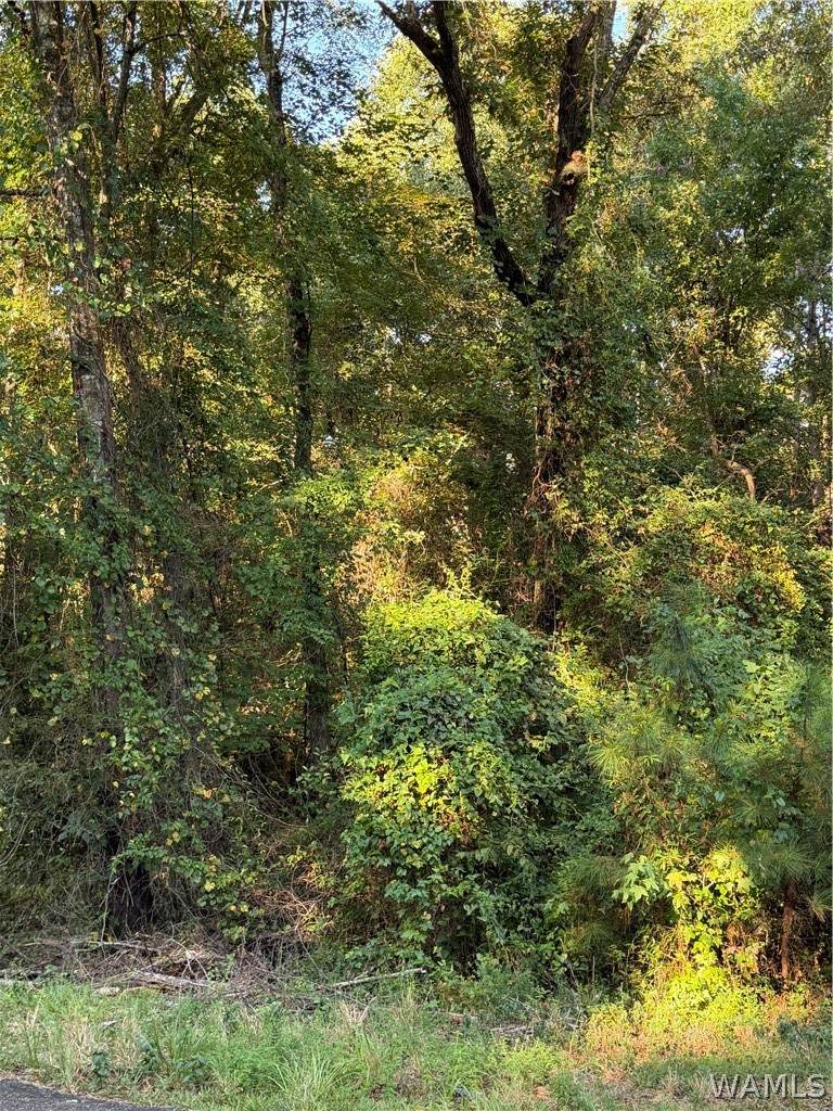 https://bt-photos.global.ssl.fastly.net/tuscaloosa/orig_boomver_1_177264-2.jpg