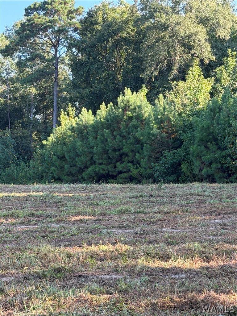 https://bt-photos.global.ssl.fastly.net/tuscaloosa/orig_boomver_1_177264-2.jpg