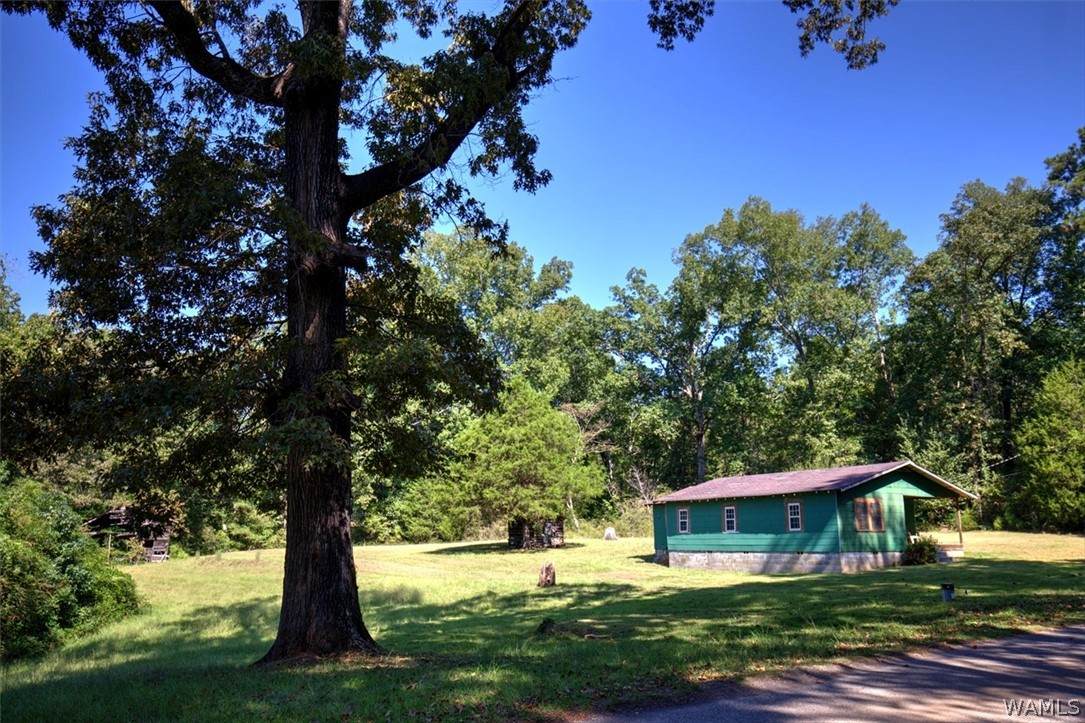 https://bt-photos.global.ssl.fastly.net/tuscaloosa/orig_boomver_2_177265-2.jpg