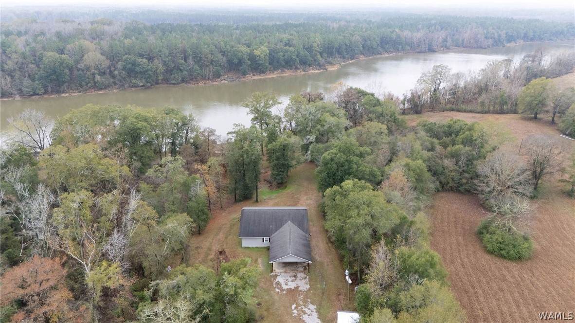 3203 County Road 69 - Photo 1