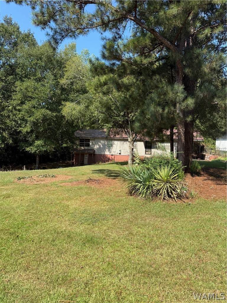 https://bt-photos.global.ssl.fastly.net/tuscaloosa/orig_boomver_1_177288-2.jpg