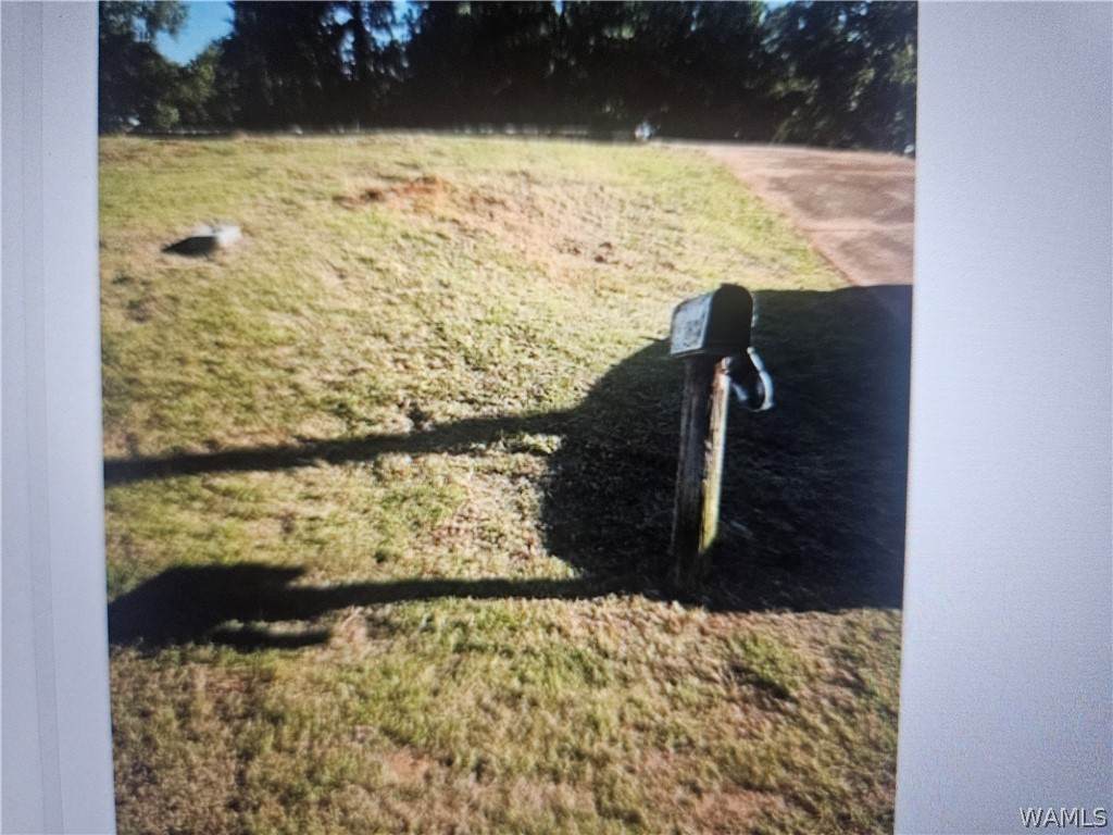 https://bt-photos.global.ssl.fastly.net/tuscaloosa/orig_boomver_1_177316-2.jpg