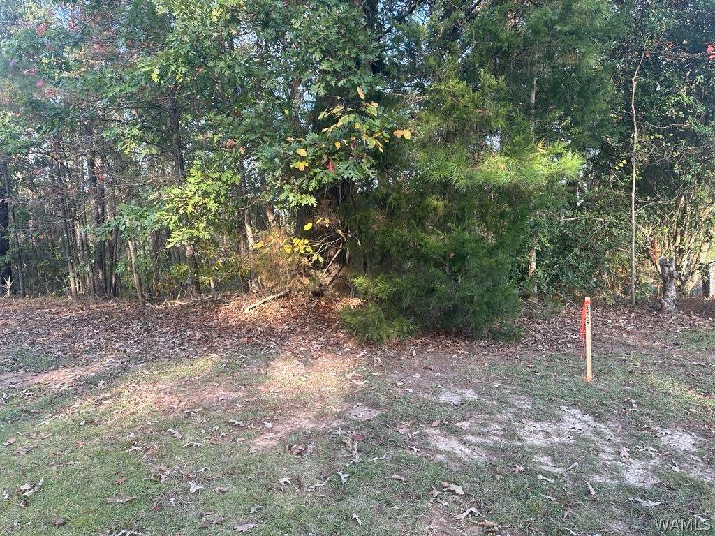 https://bt-photos.global.ssl.fastly.net/tuscaloosa/orig_boomver_1_177323-2.jpg