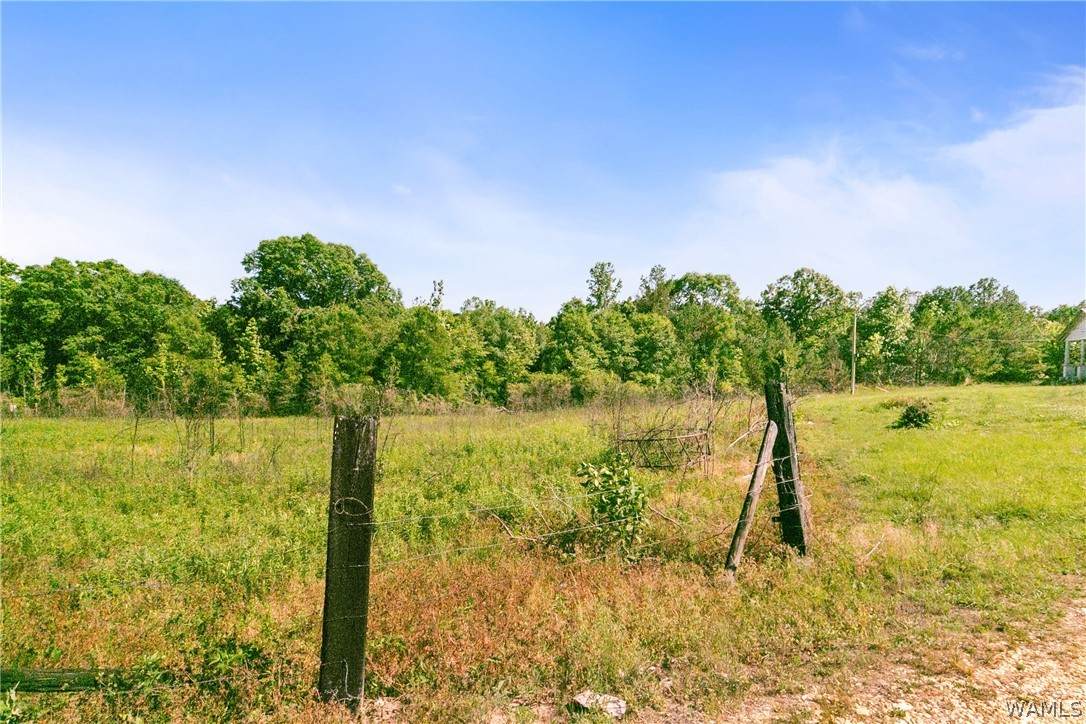 https://bt-photos.global.ssl.fastly.net/tuscaloosa/orig_boomver_1_177363-2.jpg