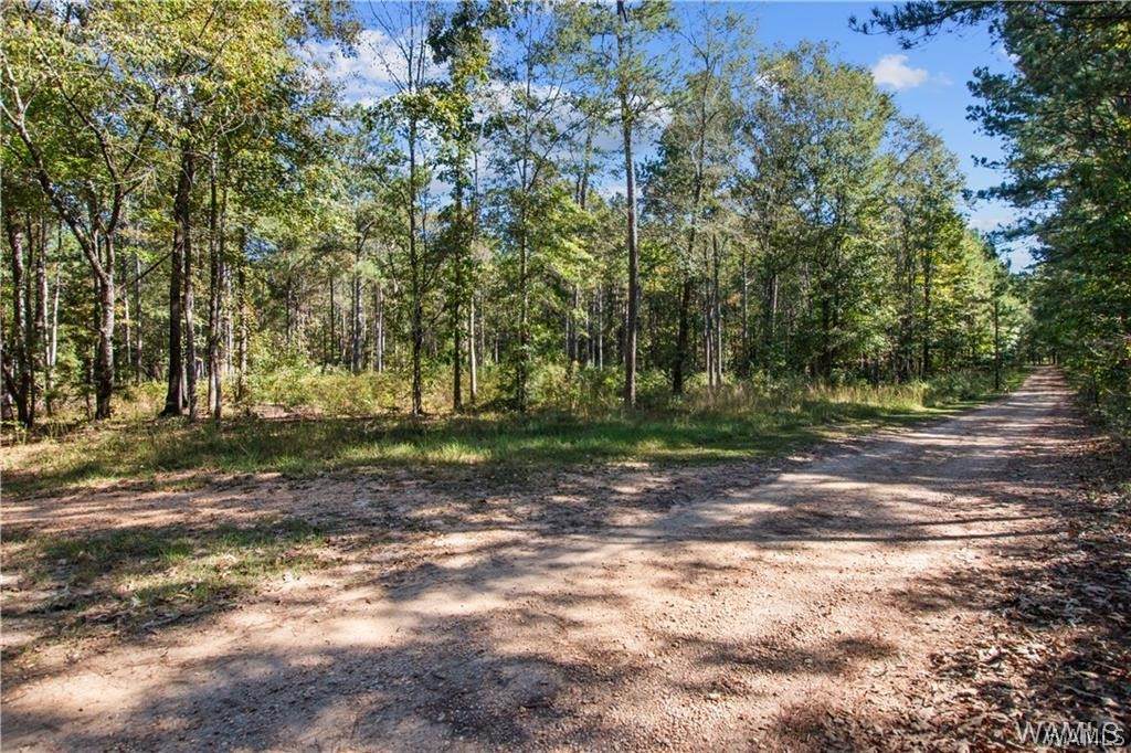 18838 Highway 43N - Photo 1