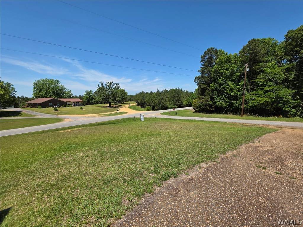 https://bt-photos.global.ssl.fastly.net/tuscaloosa/orig_boomver_1_177384-2.jpg