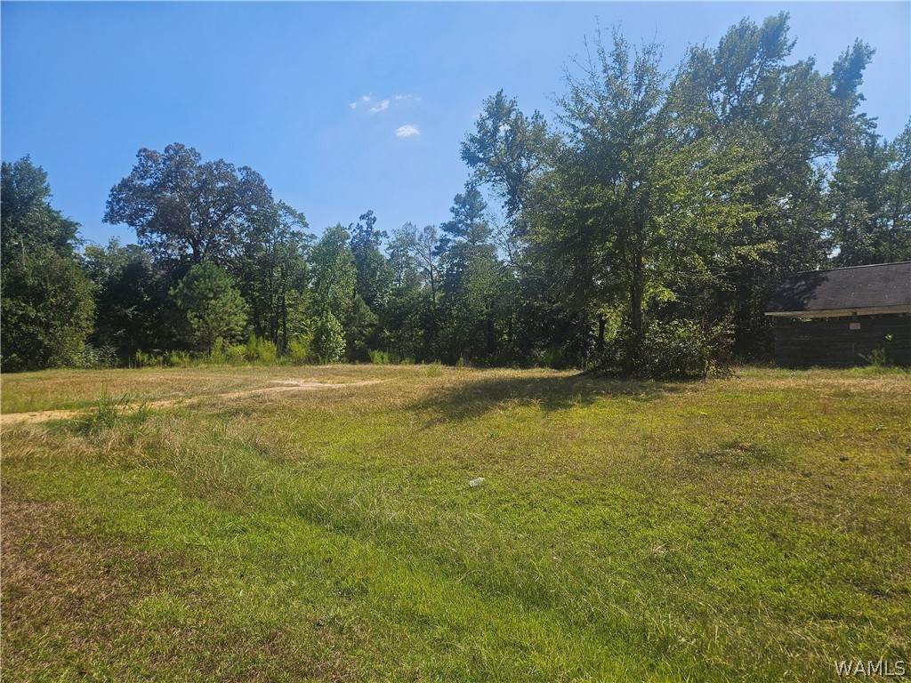 https://bt-photos.global.ssl.fastly.net/tuscaloosa/orig_boomver_4_177418-2.jpg
