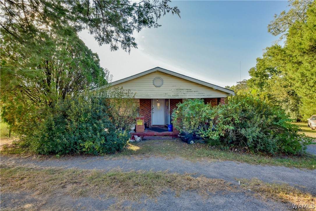 955 Rice Mine Road - Photo 1