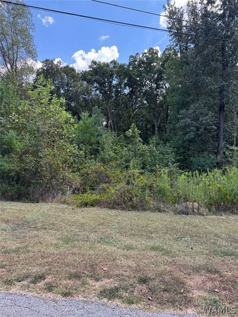2107 Fountain Way - Photo 1