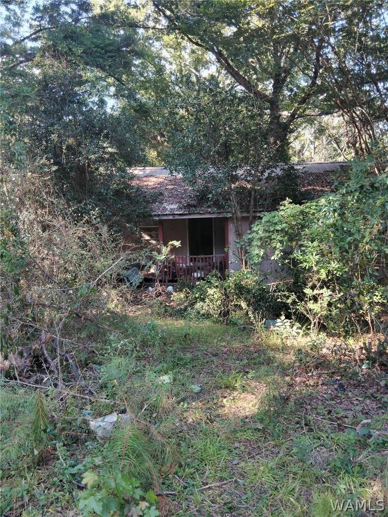 11647 Ivory Lane - Photo 1