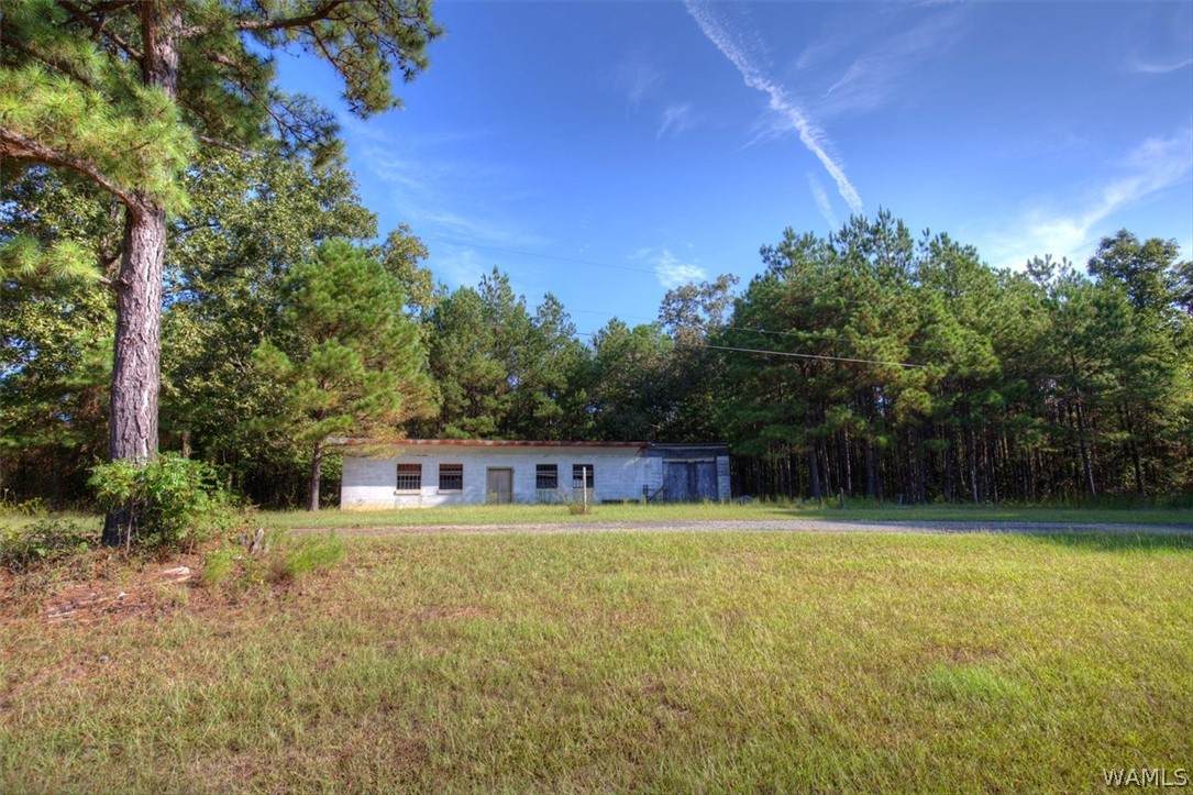 0 Hwy 82 - Photo 1