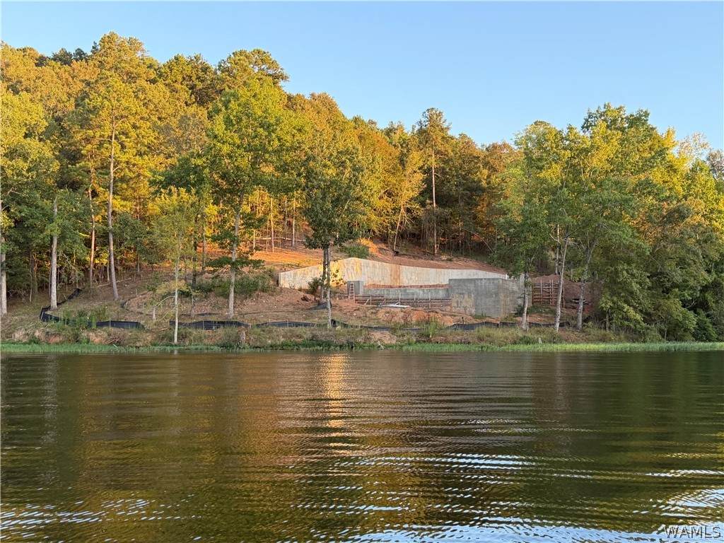 https://bt-photos.global.ssl.fastly.net/tuscaloosa/orig_boomver_1_177590-2.jpg