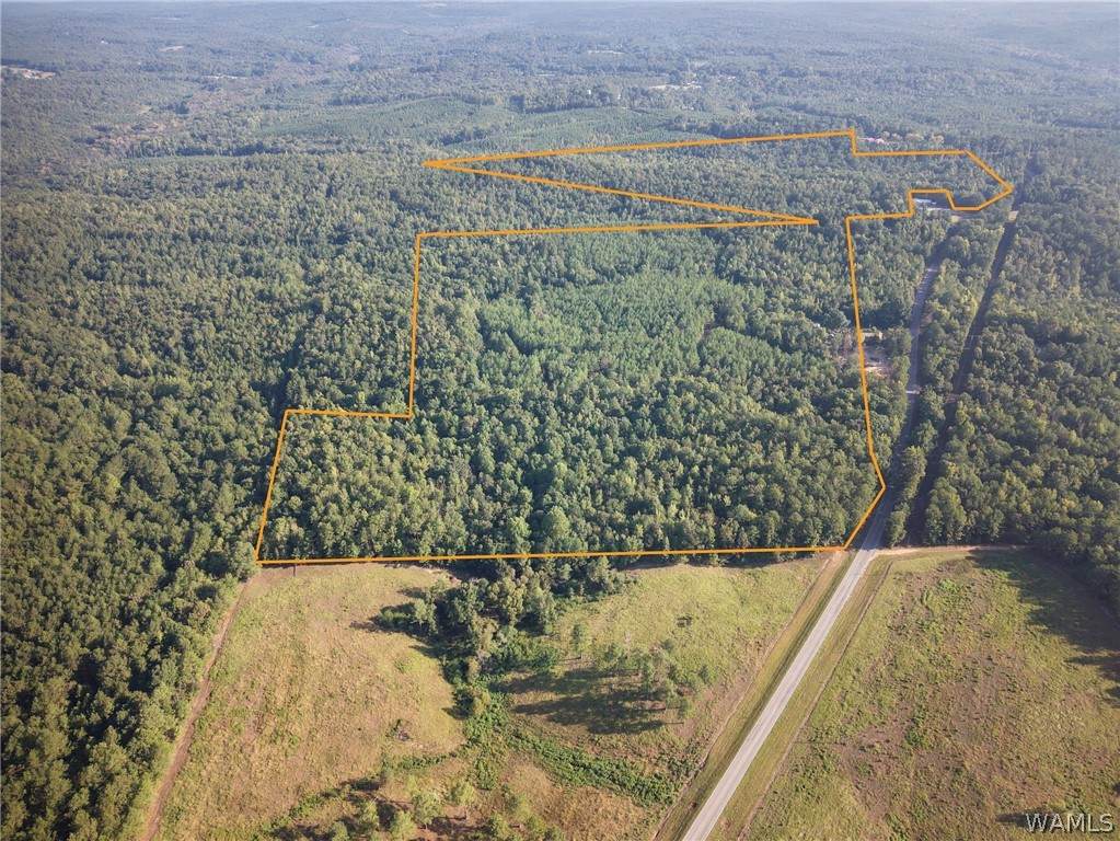 0000 County Road  49 - Photo 1