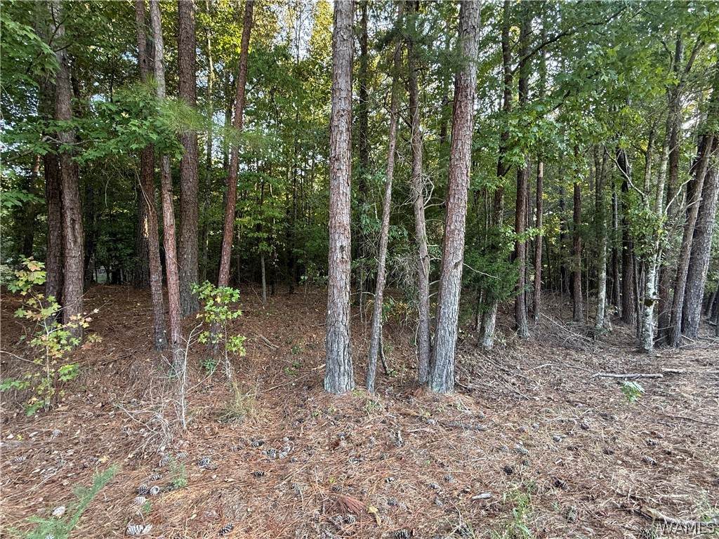 15149 Wire Rd - Photo 1