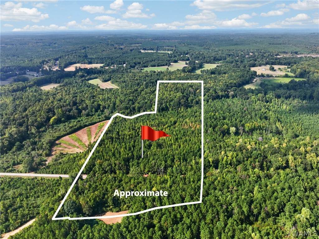 00000 Liberty Lyles Road - Photo 1