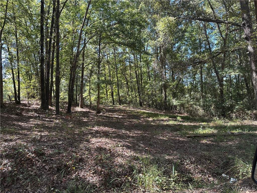https://bt-photos.global.ssl.fastly.net/tuscaloosa/orig_boomver_1_177678-2.jpg