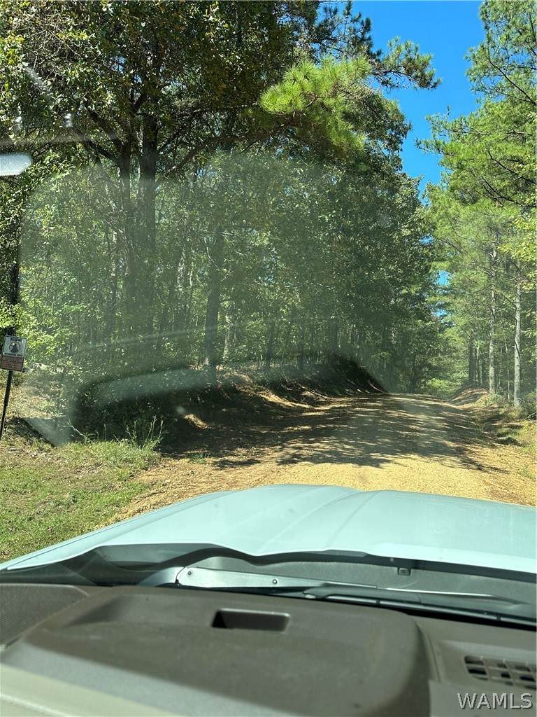 https://bt-photos.global.ssl.fastly.net/tuscaloosa/orig_boomver_1_177678-2.jpg