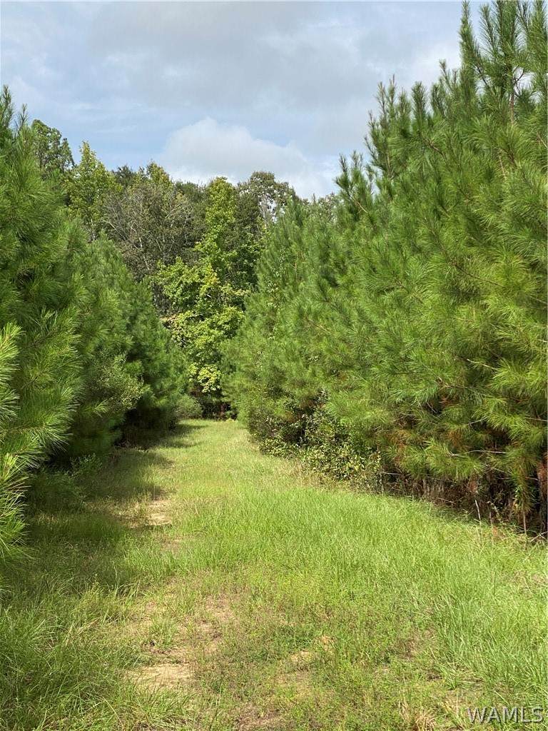 0 Hwy 69 - Photo 1