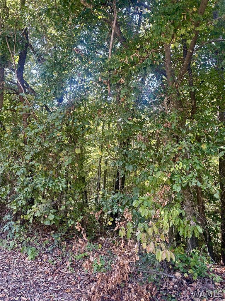https://bt-photos.global.ssl.fastly.net/tuscaloosa/orig_boomver_1_177753-2.jpg
