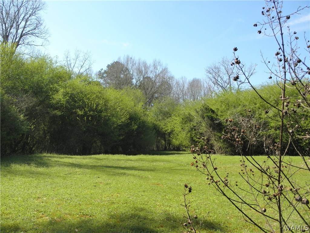 0000 Daffron Road - Photo 1