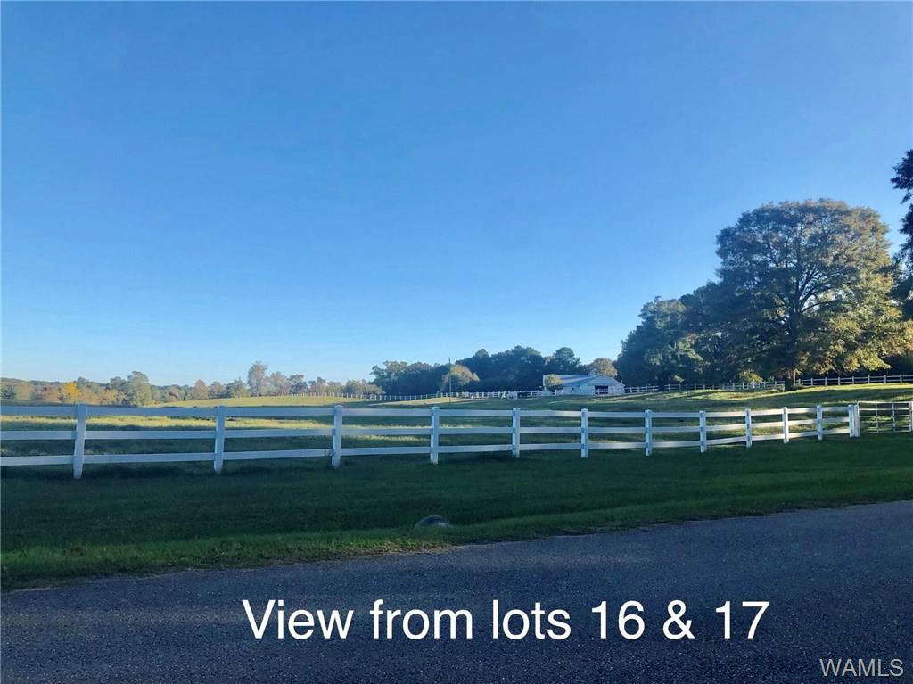 Lot 16 & 17 Lake Hills Drive - Photo 1