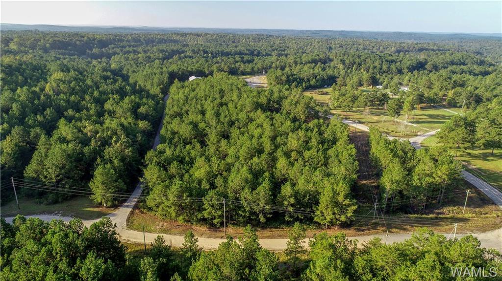15214 Ridgeland Drive - Photo 1