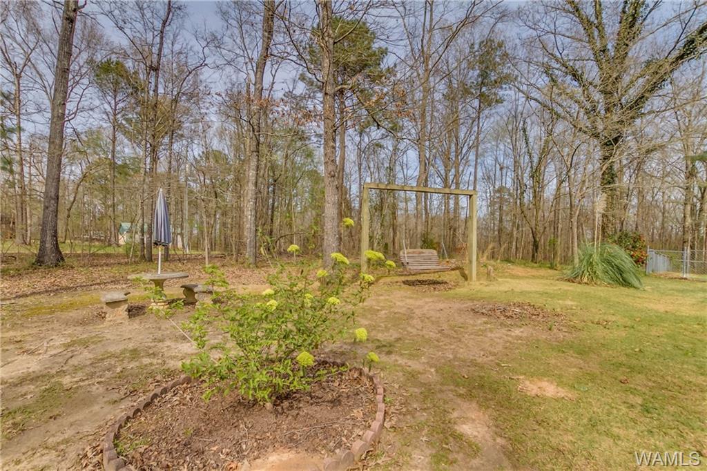 11229 Apple Valley Road - Photo 1