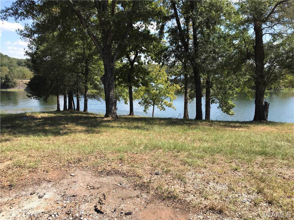 0 Searcy Road - Photo 1